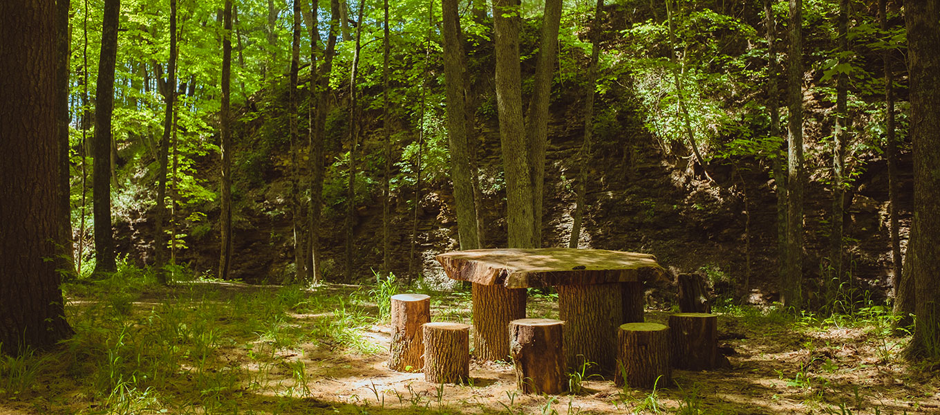 Shale Hollow Park Preservation Parks of Delaware County